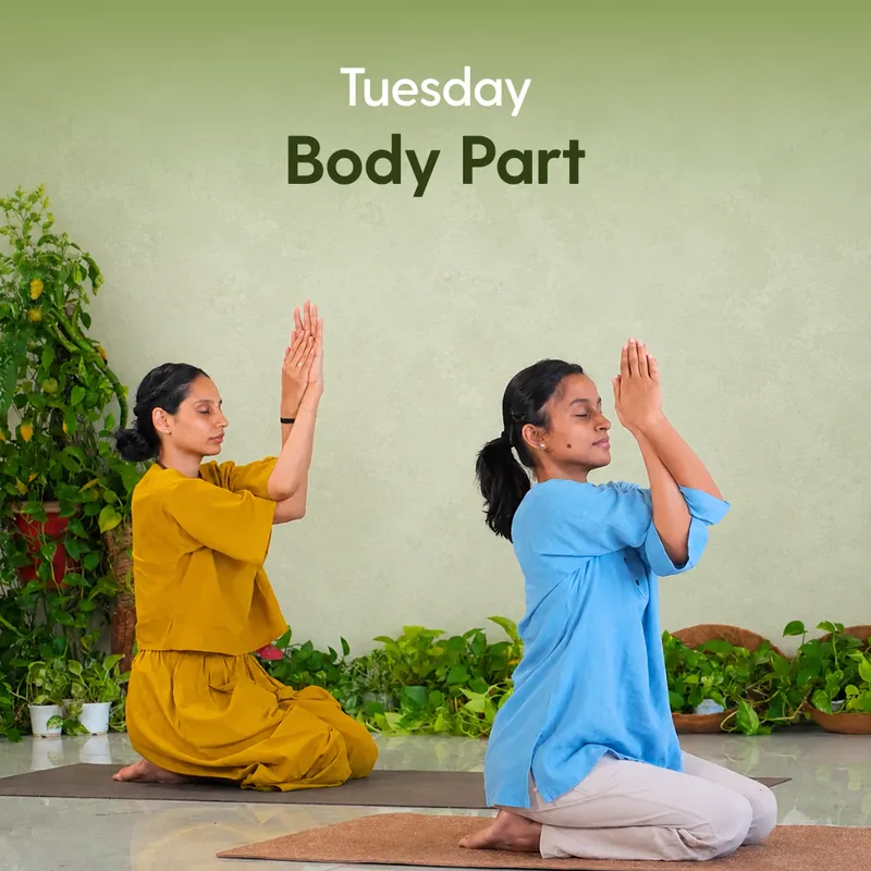 Tuesday - Body Part