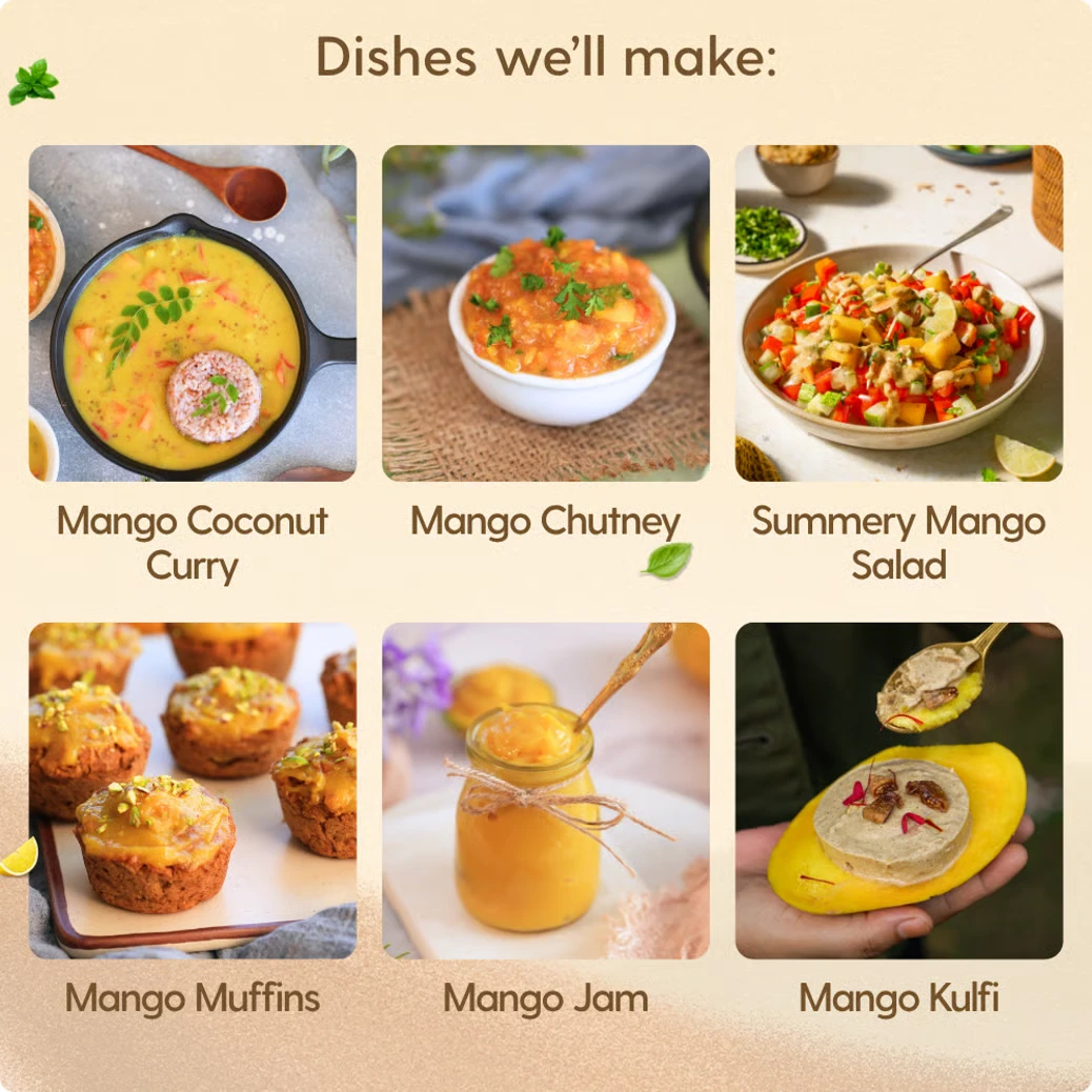 Dishes we'll make: Mango Coconut Curry, Mango Chutney, Summery Mango Salad, Mango Muffins, Mango Jam, Mango Kulfi